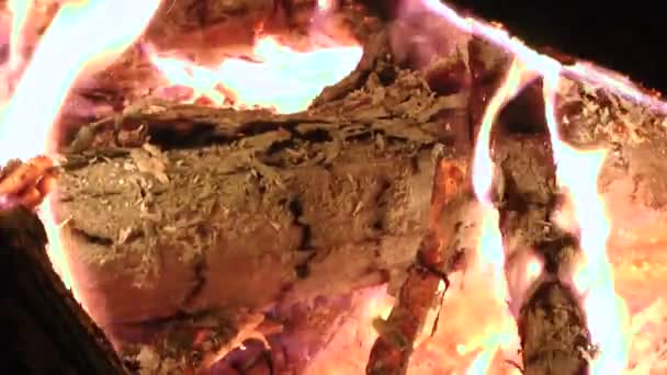 Vuur, warmte, vlammen, blazes — Stockvideo