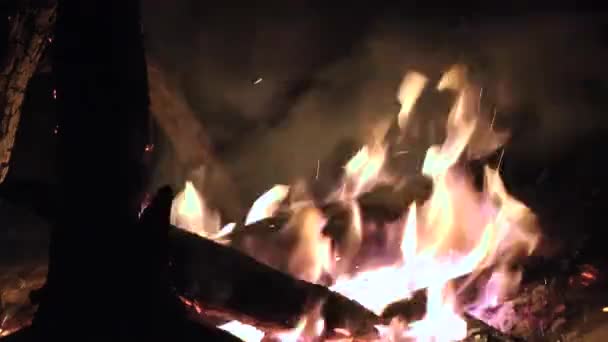 Fuoco, fiamme, fiamme, calore — Video Stock