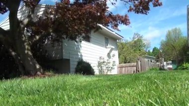 Çim biçme Makinası, çim kesme, peyzaj