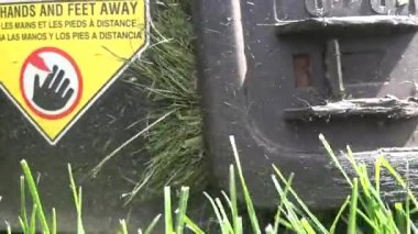 Çim biçme Makinası, çim kesme, peyzaj