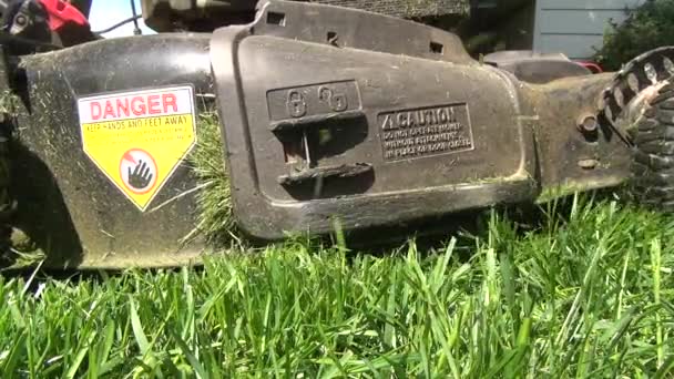 Lawn Mower, Grass Cutter, Landscaping — Stock Video