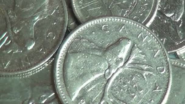 Monedas, Canadá, Canadá, Dinero, Moneda — Vídeos de Stock