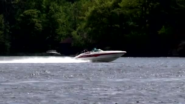 Schnellboote, Motorboote, Motorboote — Stockvideo