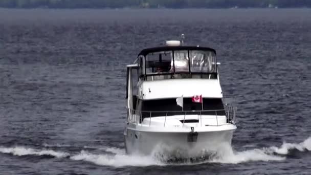 马达游艇、 豪华动力艇 — 图库视频影像
