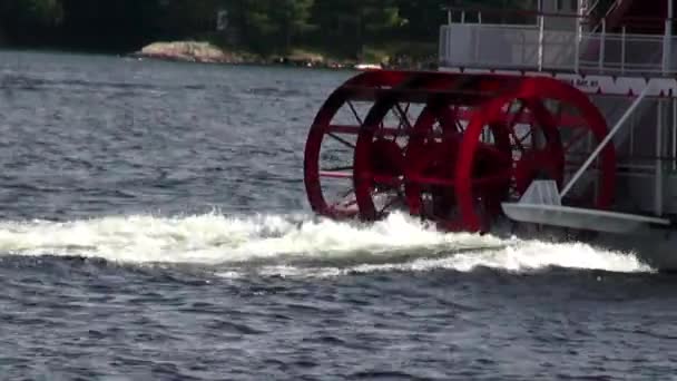 Paddla ångkokare, trampbåtar, flodbåtarna — Stockvideo