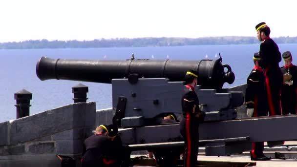 Cannons, Artillery, Weapons, Colonial — Stock Video