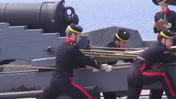 Canons, Artillerie, Armes, Coloniale — Video