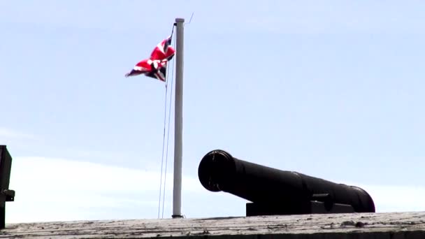 Canhões, Artilharia, Armas, Colonial — Vídeo de Stock