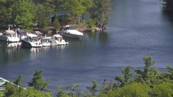 湖泊，池塘，淡水的水，自然 — 图库视频影像