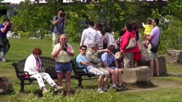 Turist, seyahat etmek, insan grupları — Stok video