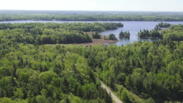 Forest River, vatten, ström, natur — Stockvideo