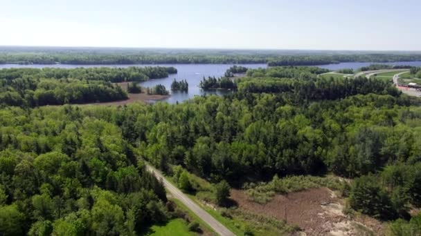 Forest River, vatten, ström, natur — Stockvideo