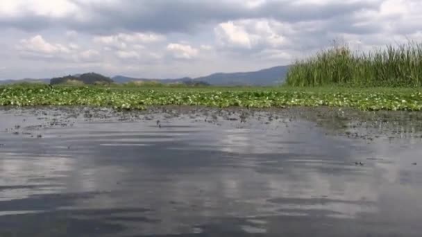 湖泊、 湿地、 淡水的水，自然 — 图库视频影像