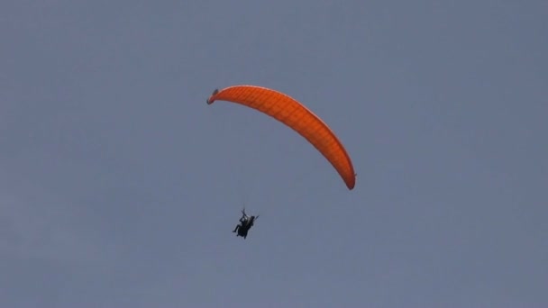 Parasailen, paragliding, parachutespringen, flying sport — Stockvideo