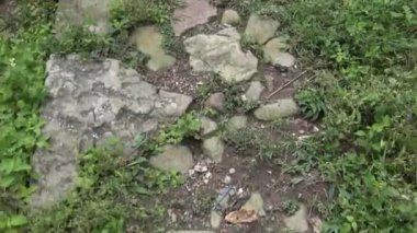 yol, yol, yürüyüş, zemin, tuğla