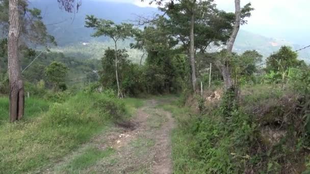 Camino, Camino, Tierra, Caminar — Vídeo de stock