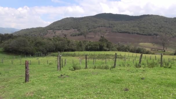 Campo aberto, Prados, Paisagem — Vídeo de Stock