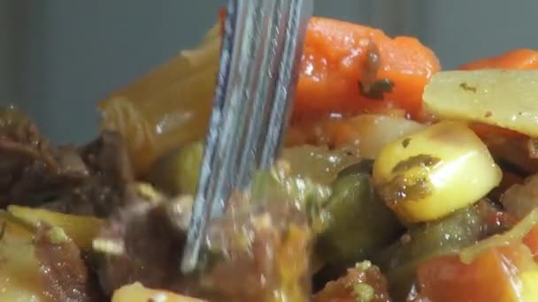 Stew, Soup, Foods, Vegetables — Stock Footage Stew, Soup, Foods, Vegetables Video Clip