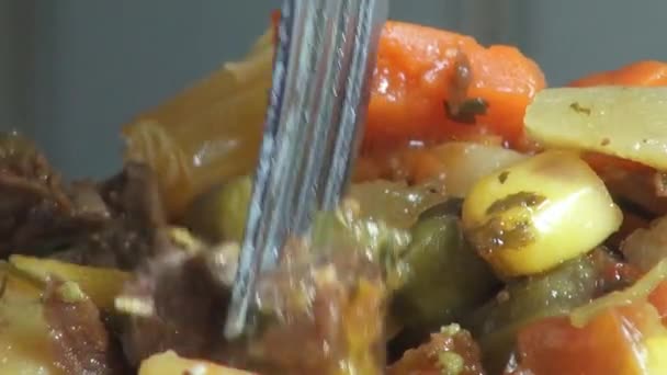 Stew, Soup, Foods, Vegetables — Stock Video