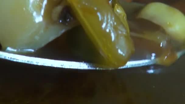 Minestronesoppa, varm mat, grytor — Stockvideo