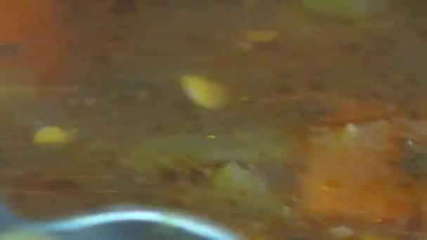 Sopa de Minestrone, Comida Caliente, Estofados — Vídeo de stock