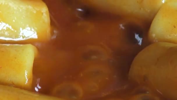 Nouilles, pâtes, sauce tomate, aliments, cuisine italienne — Video