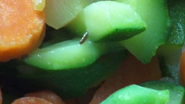 Legumes misturados, Veggies, Vegan, Alimentos — Vídeo de Stock