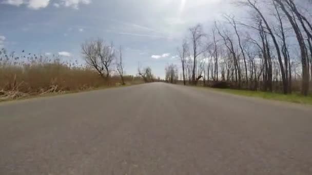 开车穿过一片沼泽地，幽灵般的枯树 — 图库视频影像
