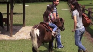 Pony Ride, Atlar, Çiftlik Hayvanları