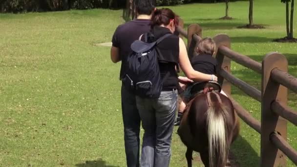Pony Ride, Koně, Farmářská zvířata