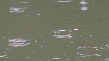 Yağmur, yağış miktarı, yağış su birikintisi, su