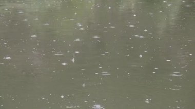 Yağmur, yağış miktarı, yağış su birikintisi, su