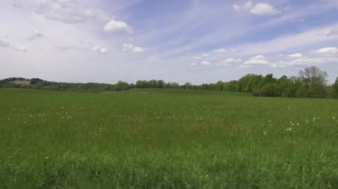 Alanları, ovaları, çayır, mera, manzara