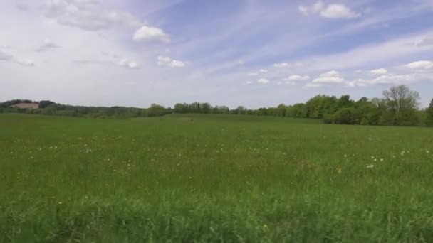 Campos, Llanuras, Prados, Pastos, Paisajes — Vídeos de Stock