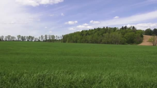 フィールド、平野、草原、牧草地の風景 — ストック動画