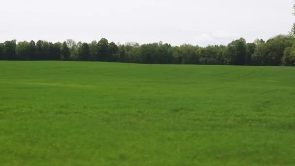 Campos, Llanuras, Prados, Pastos, Paisajes — Vídeos de Stock