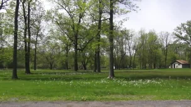 公共公园 — 图库视频影像