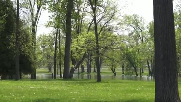 Überschwemmungen, Überschwemmungen, Wasser, Unwetter, Gefahr — Stockvideo