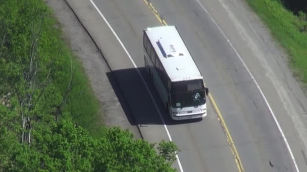 Busse, Straßen, öffentliche Verkehrsmittel, Nahverkehr — Stockvideo