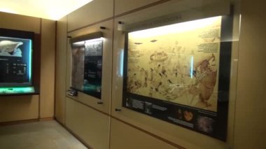 Müze sergiler, sanat, kültür