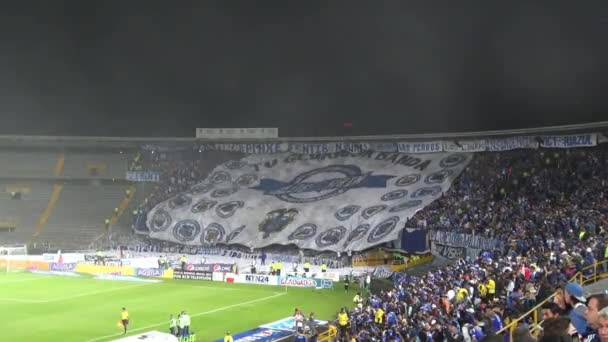 Estadio de Fútbol, Arena, Campo, Lanzamiento, Deportes — Vídeo de stock