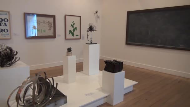Экспонаты музея, произведения искусства, культура — стоковое видео