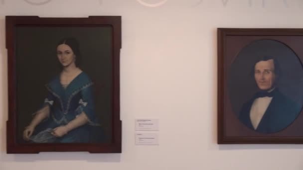 Müze Sergiler Sanat Kültür — Stok video