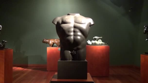 Estátuas, Esculturas, Arte, Obra de Arte, Monumentos, Marcos — Vídeo de Stock