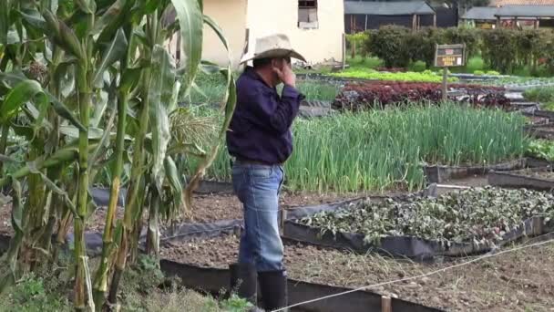 Agricultor, Trabalhador, Trabalhador — Vídeo de Stock