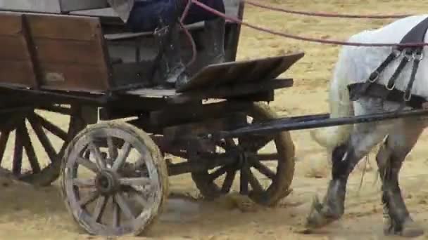 Paard getrokken vervoer, Wild West, kolonisten — Stockvideo