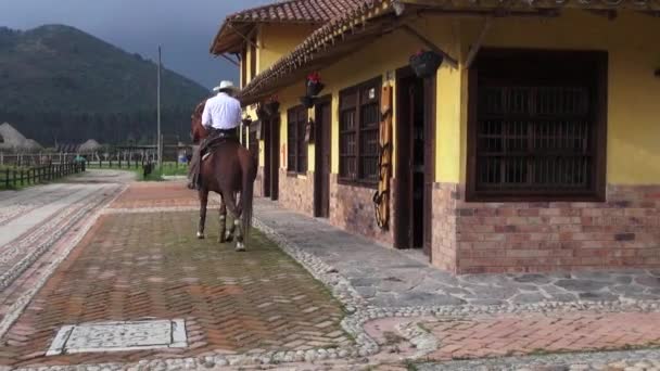 Passeios a cavalo, Cavalos, Animais — Vídeo de Stock