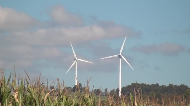 風車、風力発電、電気エネルギーからクリーンです — ストック動画