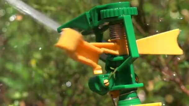 Automated Water Sprinkler System — Stock Video