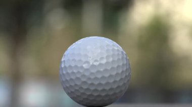 Koyarak, profesyonel golfçü, spor